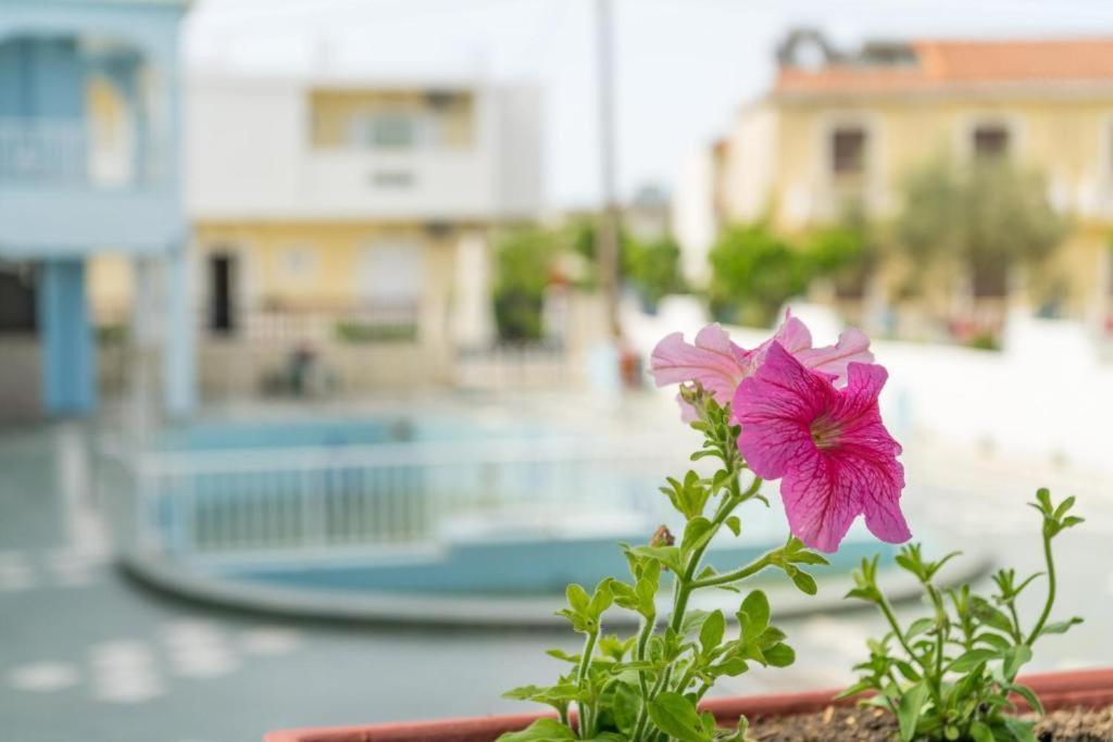 Anna'S Studios & Apartments Zakynthos Exterior foto